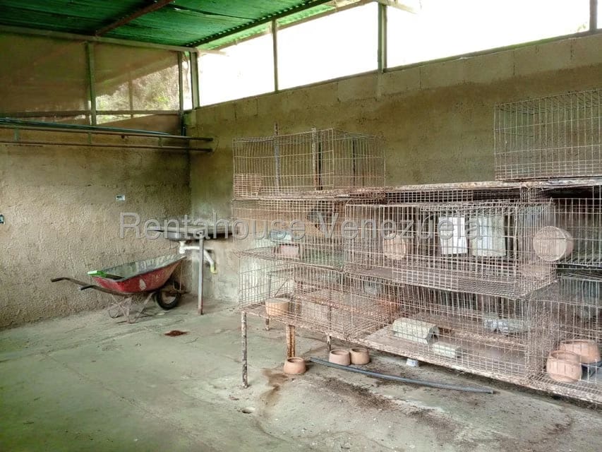 Terreno (Finca) en Venta en Loma Santuario de Duri, Trujillo - 15