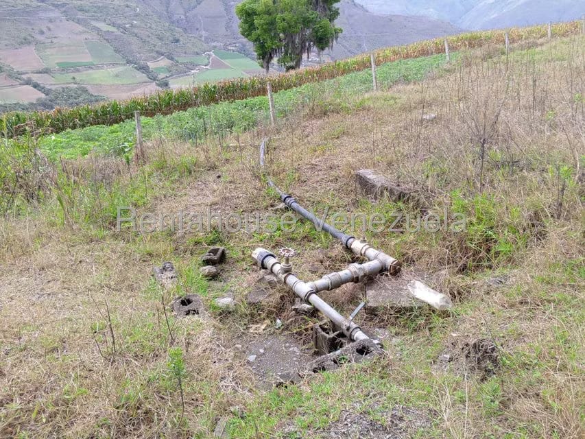 Terreno (Finca) en Venta en Loma Santuario de Duri, Trujillo - 18