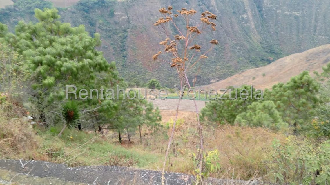 Terreno (Finca) en Venta en Loma Santuario de Duri, Trujillo - 19