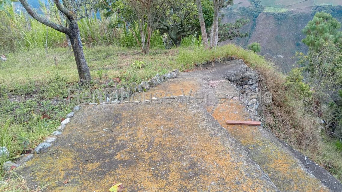 Terreno (Finca) en Venta en Loma Santuario de Duri, Trujillo - 20