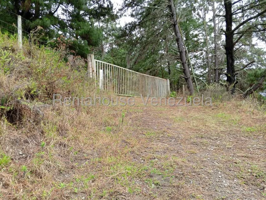Terreno (Finca) en Venta en Loma Santuario de Duri, Trujillo - 21