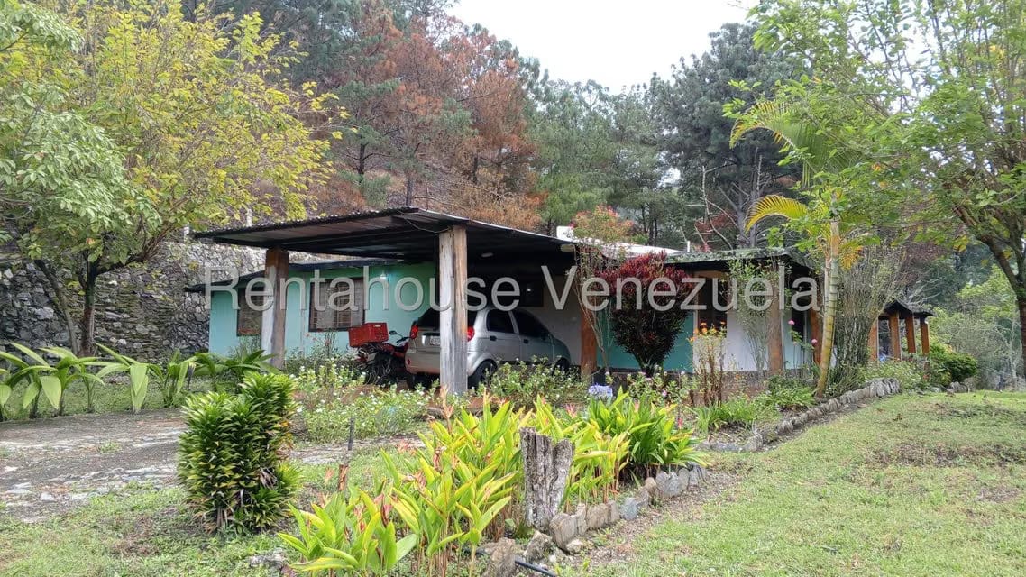 Terreno (Finca) en Venta en Loma Santuario de Duri, Trujillo - 25