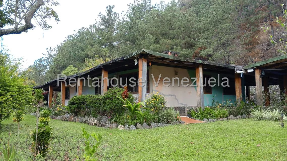 Terreno (Finca) en Venta en Loma Santuario de Duri, Trujillo - 26