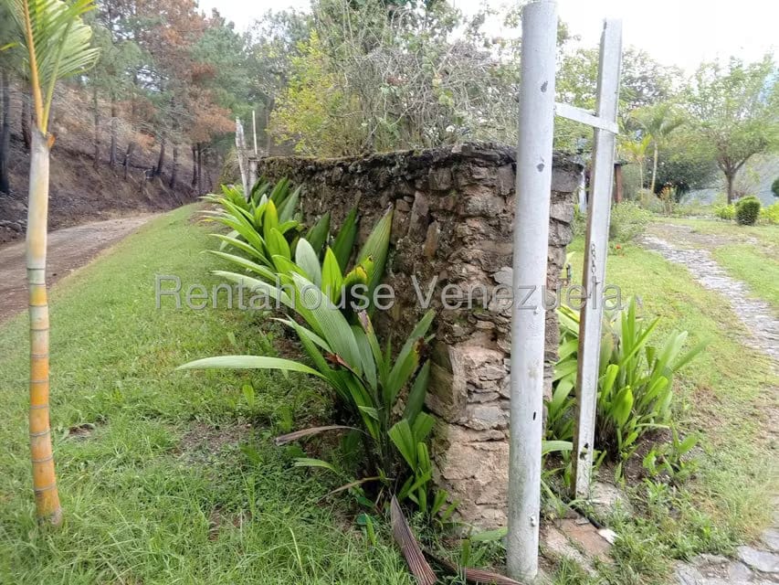 Terreno (Finca) en Venta en Loma Santuario de Duri, Trujillo - 5