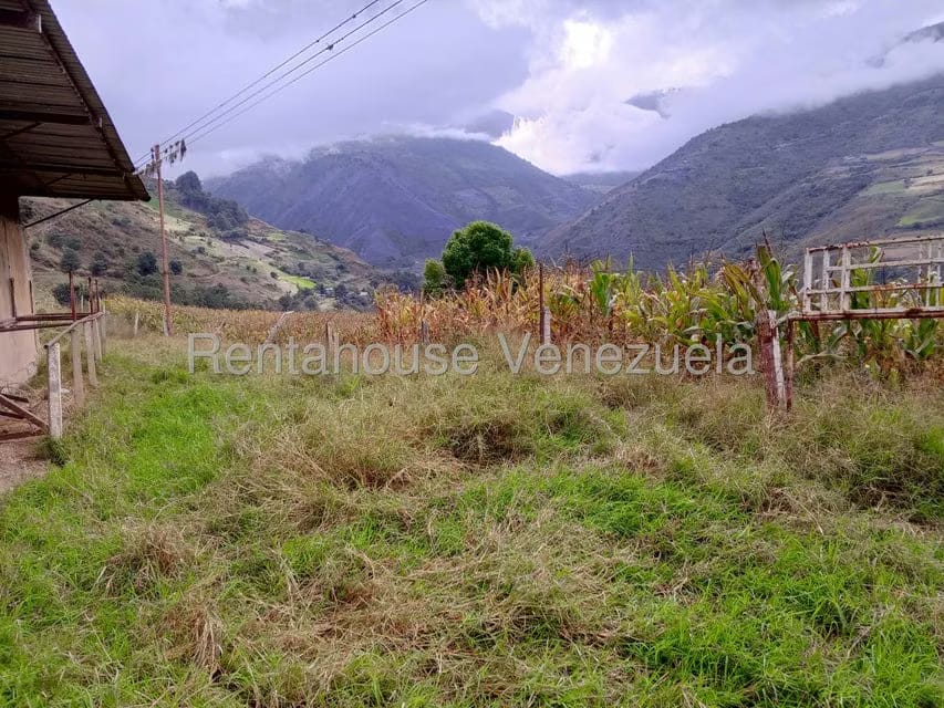 Terreno (Finca) en Venta en Loma Santuario de Duri, Trujillo - 7