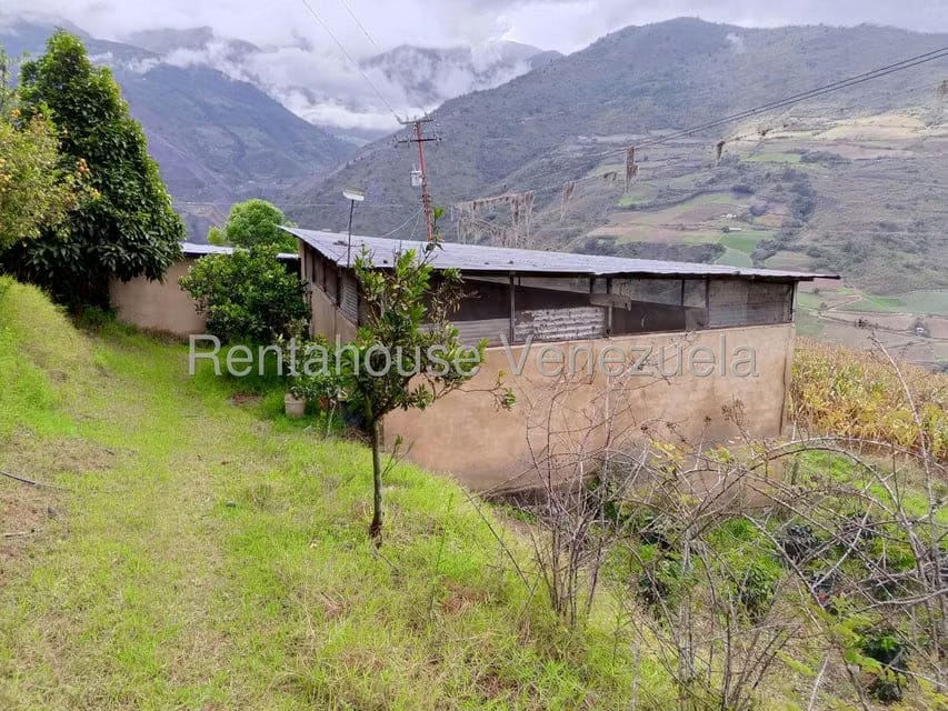 Terreno (Finca) en Venta en Loma Santuario de Duri, Trujillo - 8