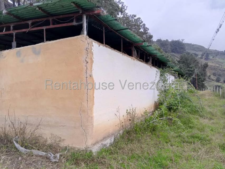 Terreno (Finca) en Venta en Loma Santuario de Duri, Trujillo - 10