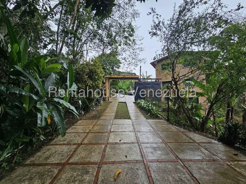 Terreno (Finca) en Venta en Sector Cantarrana, Miranda - 3