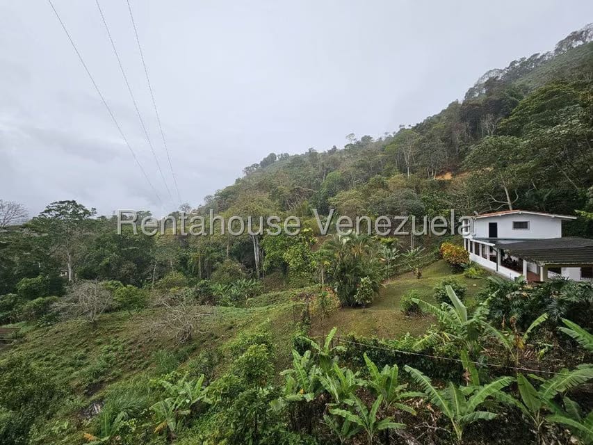 Terreno (Finca) en Venta en Sector Cantarrana, Miranda - 38