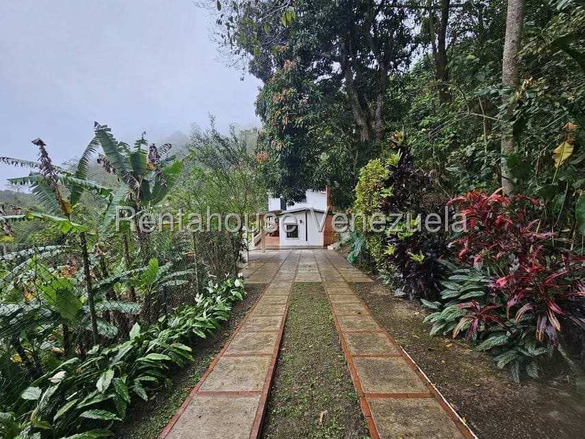 Terreno (Finca) en Venta en Sector Cantarrana, Miranda - 57