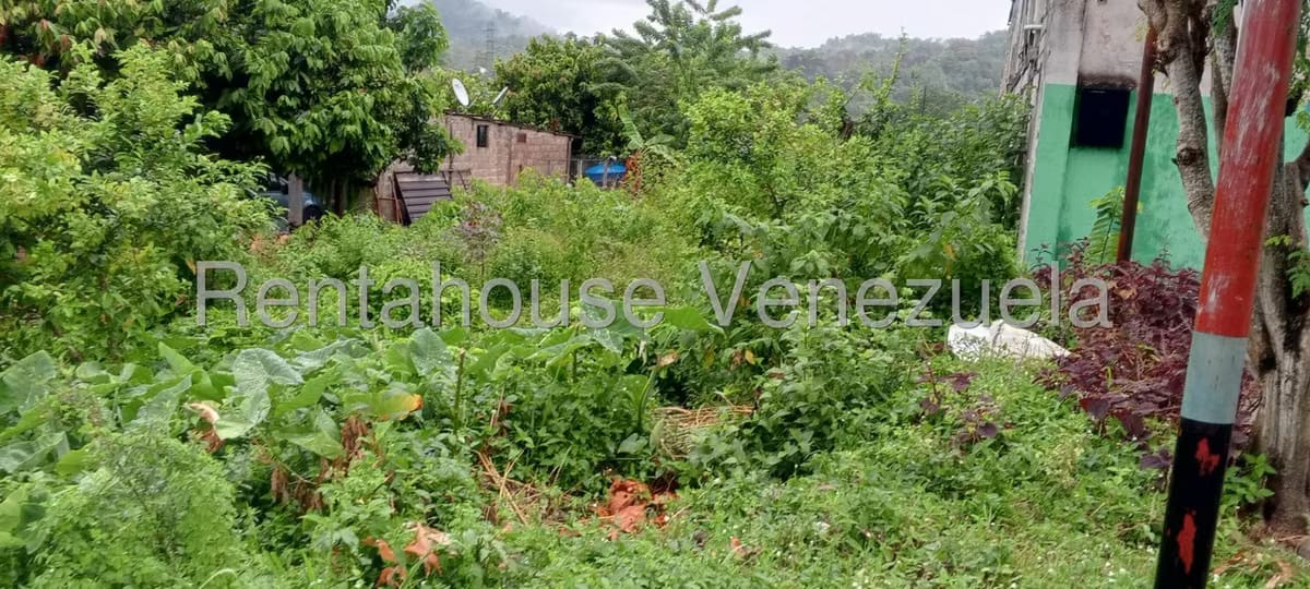 Terreno (Residencial) en Venta en El Guayabal, Tachira - 3