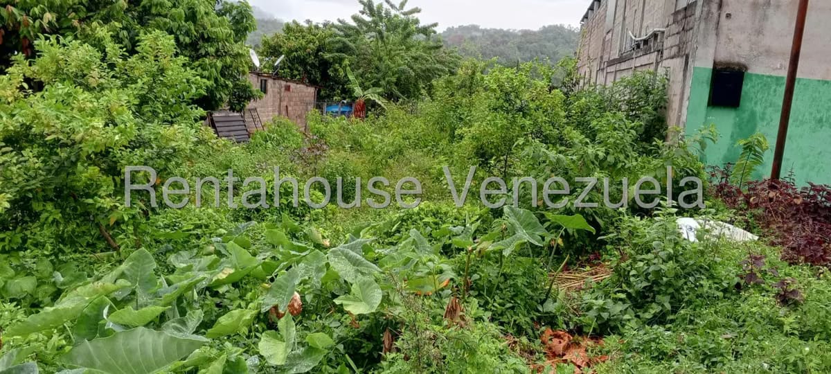 Terreno (Residencial) en Venta en El Guayabal, Tachira - 4
