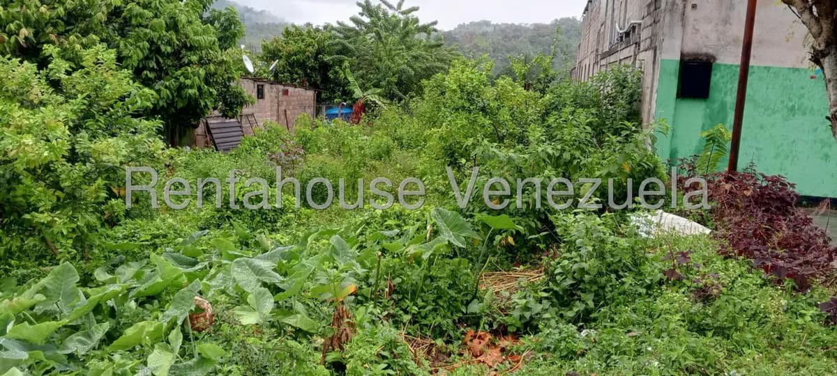 Terreno (Residencial) en Venta en El Guayabal, Tachira - 5