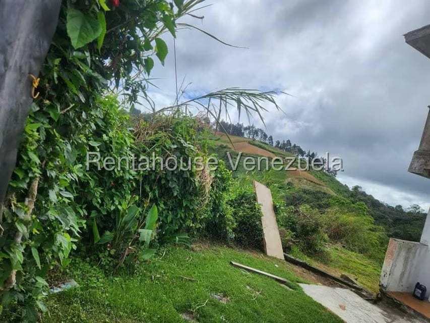 Terreno (Residencial) en Venta en Las Polonias Nuevas, Miranda - 2