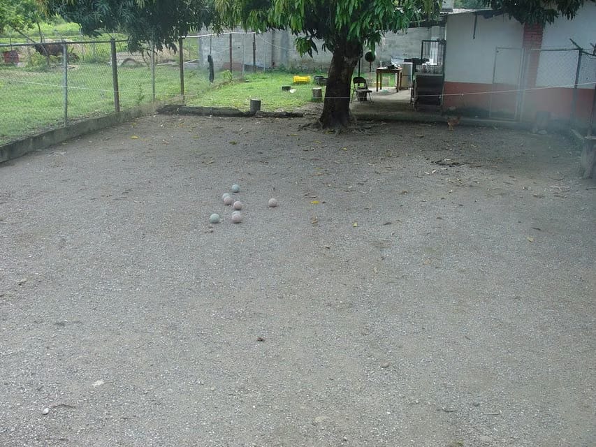 Casa (Finca) en Venta en Merecure, Miranda - 34
