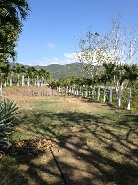 Casa (Multipes Niveles) en Venta en Asentamiento Campesino Embalse Cabuy, Yaracuy - 13