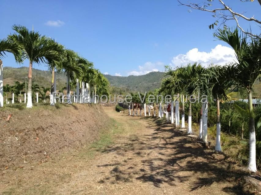 Casa (Multipes Niveles) en Venta en Asentamiento Campesino Embalse Cabuy, Yaracuy - 22