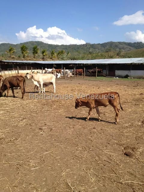 Casa (Multipes Niveles) en Venta en Asentamiento Campesino Embalse Cabuy, Yaracuy - 8