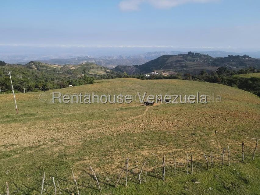 Terreno (Comercial) en Venta en Jimenez, Lara - 6