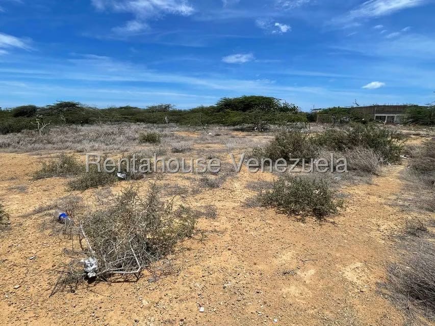 Terreno (Residencial) en Venta en Punto Fijo, Falcon - 4
