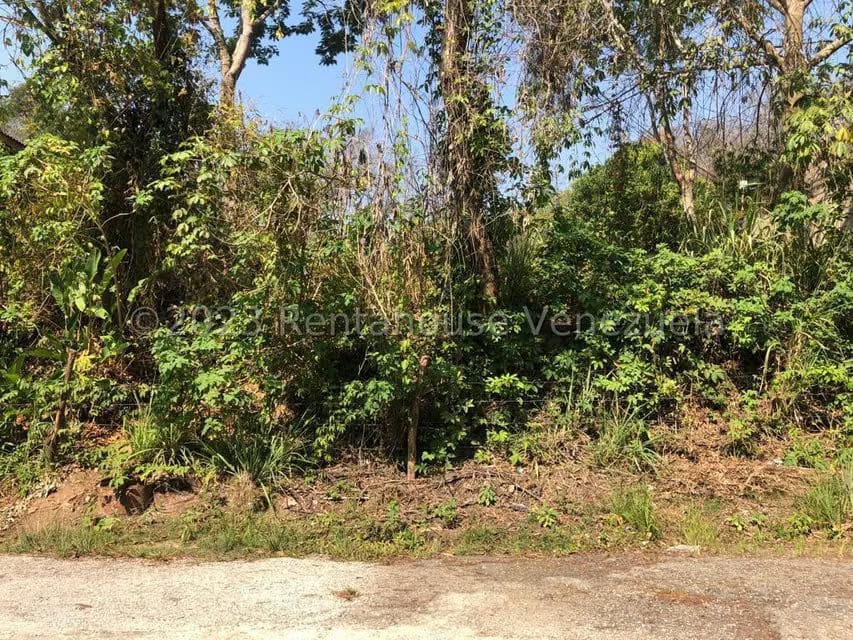 Terreno (Residencial) en Venta en Colinas de Guataparo, Carabobo - 21