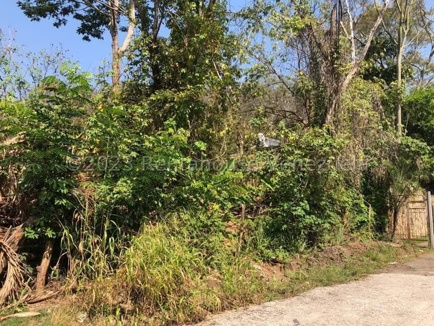 Terreno (Residencial) en Venta en Colinas de Guataparo, Carabobo - 23