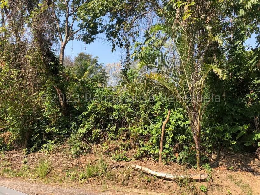 Terreno (Residencial) en Venta en Colinas de Guataparo, Carabobo - 28