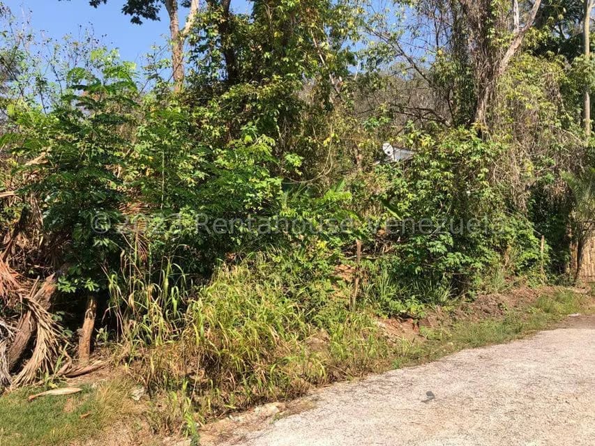 Terreno (Residencial) en Venta en Colinas de Guataparo, Carabobo - 33
