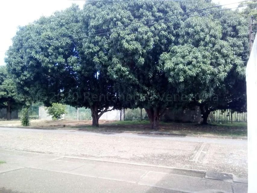 Casa (1 Nivel) en Venta en Centro Administrativo, Guarico - 25
