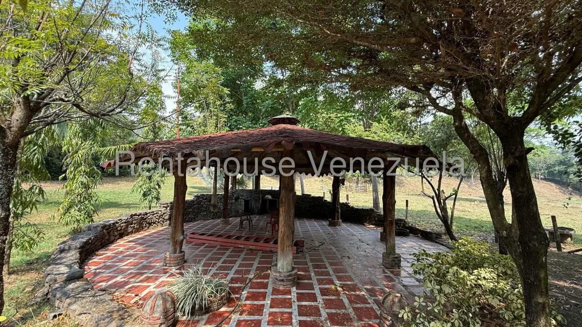 Terreno (Finca) en Venta en Centro, Portuguesa - 12