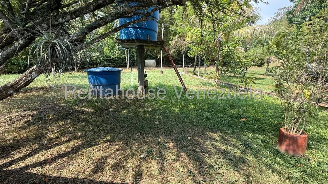 Terreno (Finca) en Venta en Centro, Portuguesa - 14