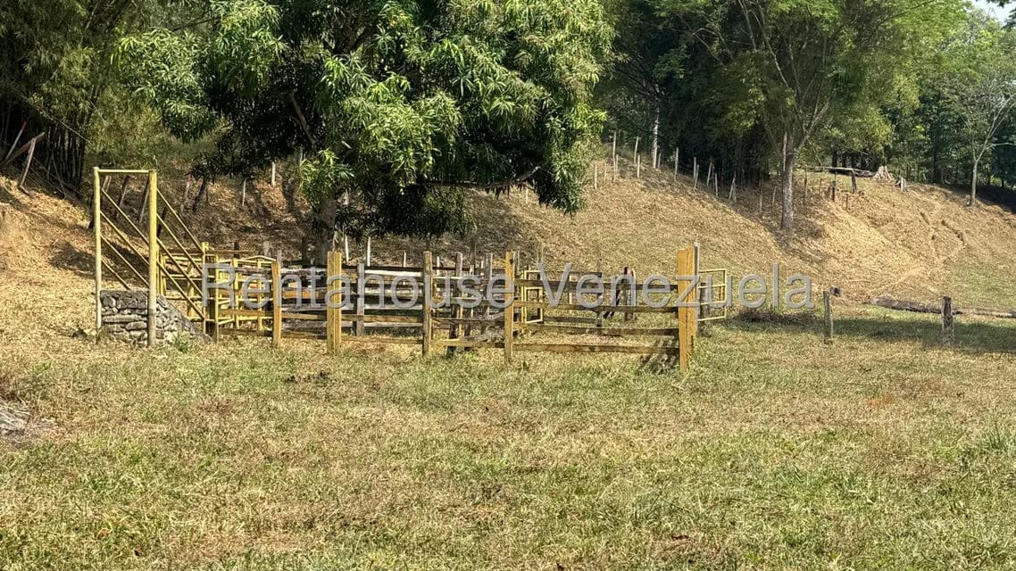 Terreno (Finca) en Venta en Centro, Portuguesa - 15