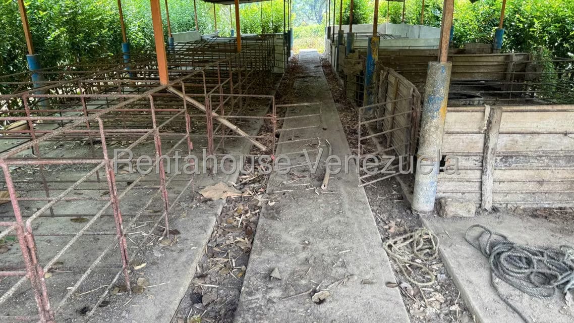 Terreno (Finca) en Venta en Centro, Portuguesa - 17