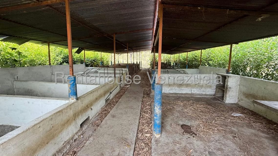 Terreno (Finca) en Venta en Centro, Portuguesa - 19