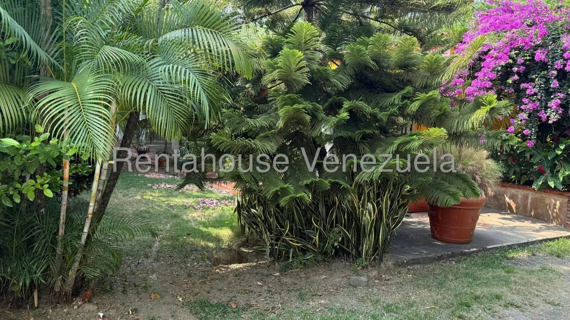 Terreno (Finca) en Venta en Centro, Portuguesa - 20