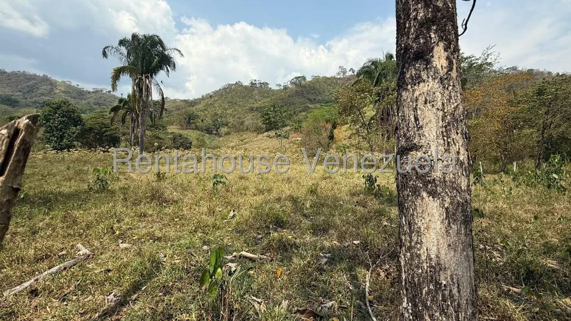 Terreno (Finca) en Venta en Centro, Portuguesa - 24