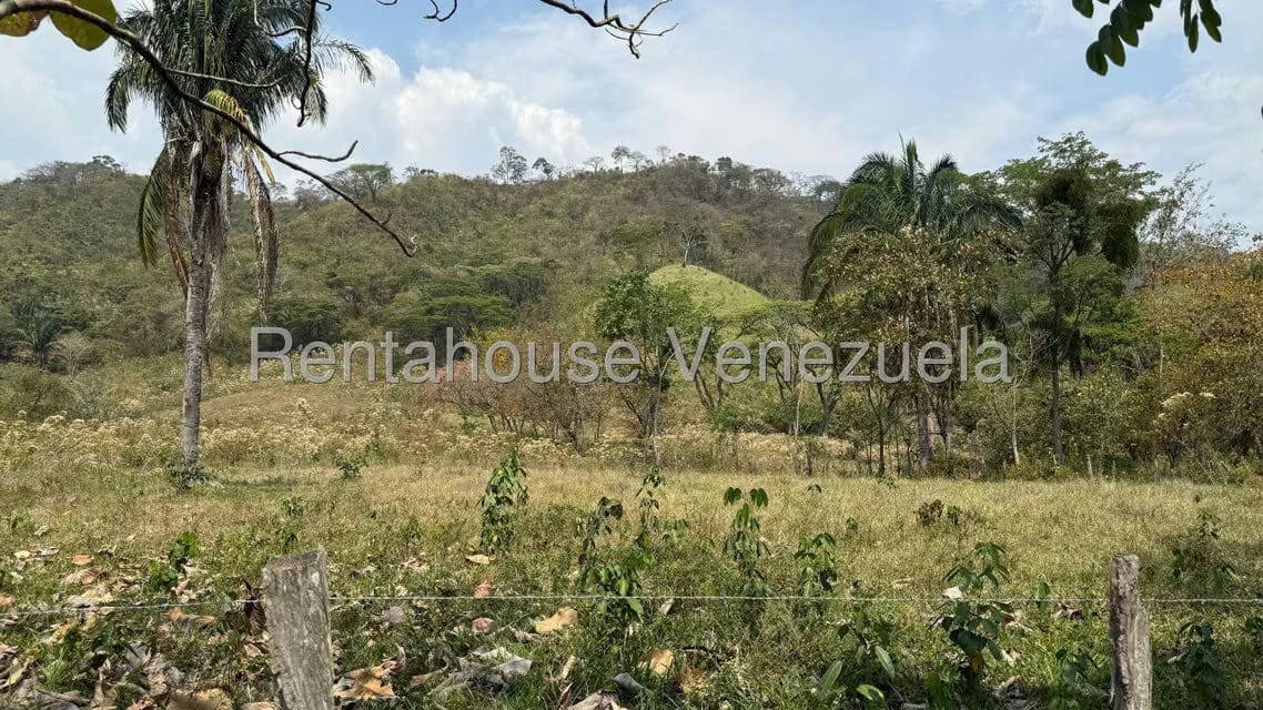 Terreno (Finca) en Venta en Centro, Portuguesa - 28