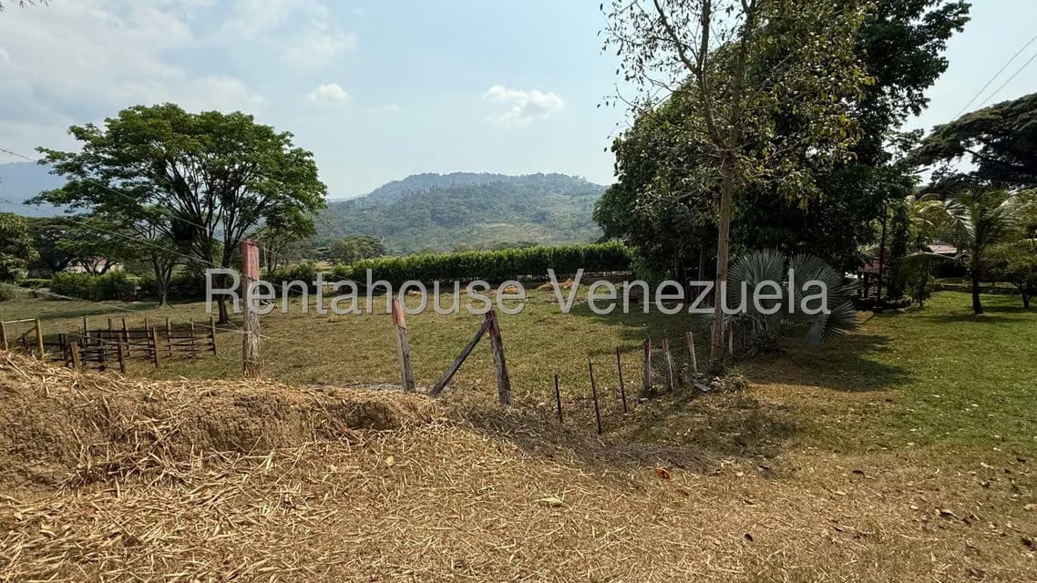 Terreno (Finca) en Venta en Centro, Portuguesa - 30