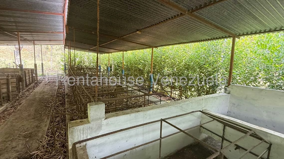 Terreno (Finca) en Venta en Centro, Portuguesa - 32