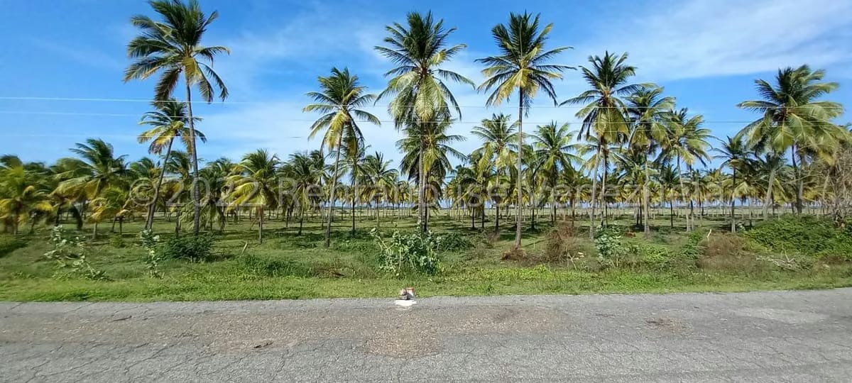 Terreno (Finca) en Venta en Boca del Mangle, Falcon