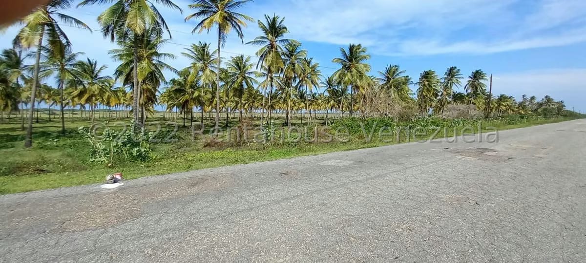 Terreno (Finca) en Venta en Boca del Mangle, Falcon - 2