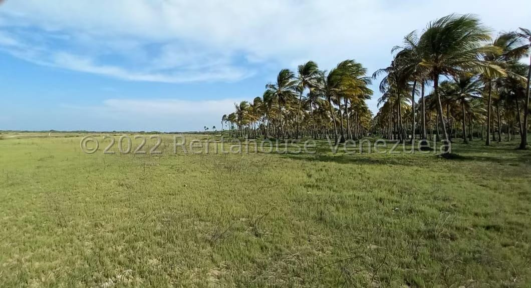 Terreno (Finca) en Venta en Boca del Mangle, Falcon - 4