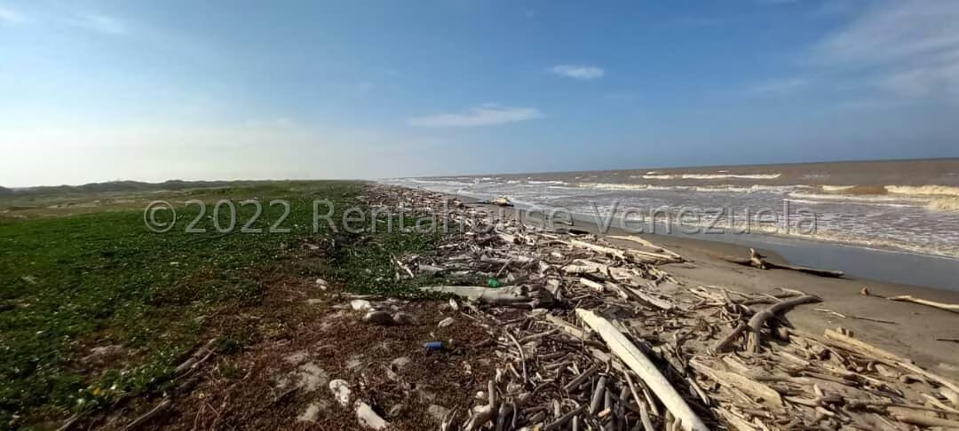 Terreno (Finca) en Venta en Boca del Mangle, Falcon - 7