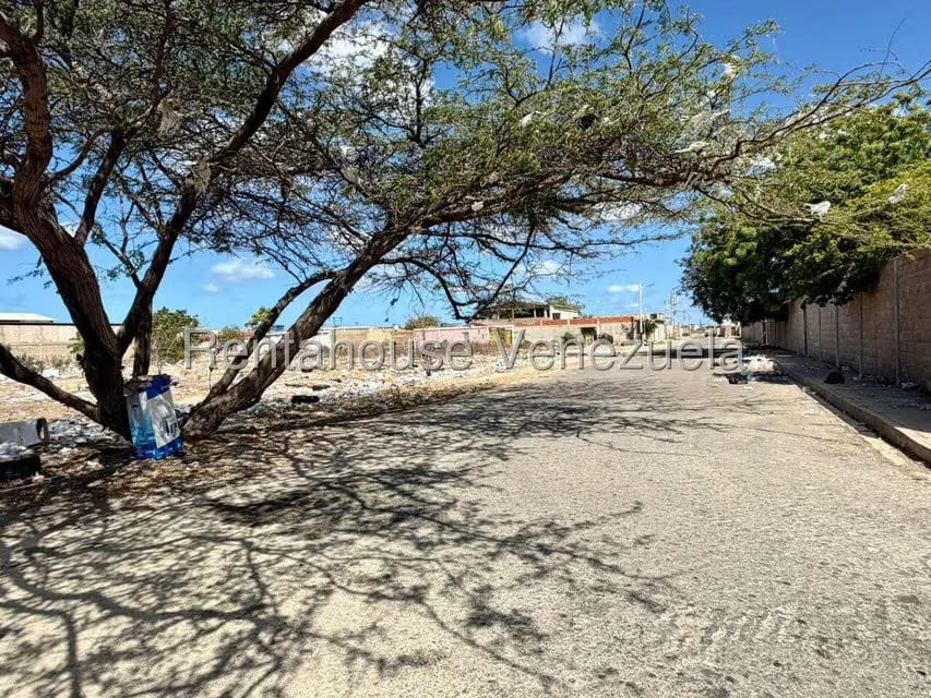 Terreno (Comercial) en Venta en Bella Vista, Falcon - 11