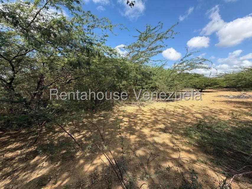 Terreno (Residencial) en Venta en Santa Elena, Falcon - 4