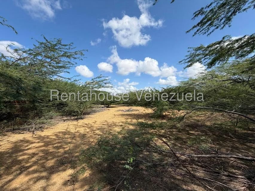 Terreno (Residencial) en Venta en Santa Elena, Falcon - 5