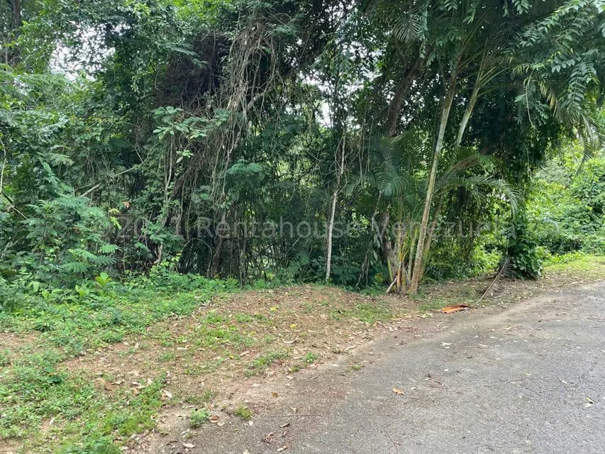 Terreno (Residencial) en Venta en Tusmare, Distrito Metropolitano