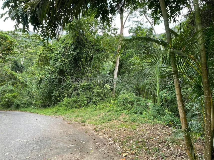 Terreno (Residencial) en Venta en Tusmare, Distrito Metropolitano - 2