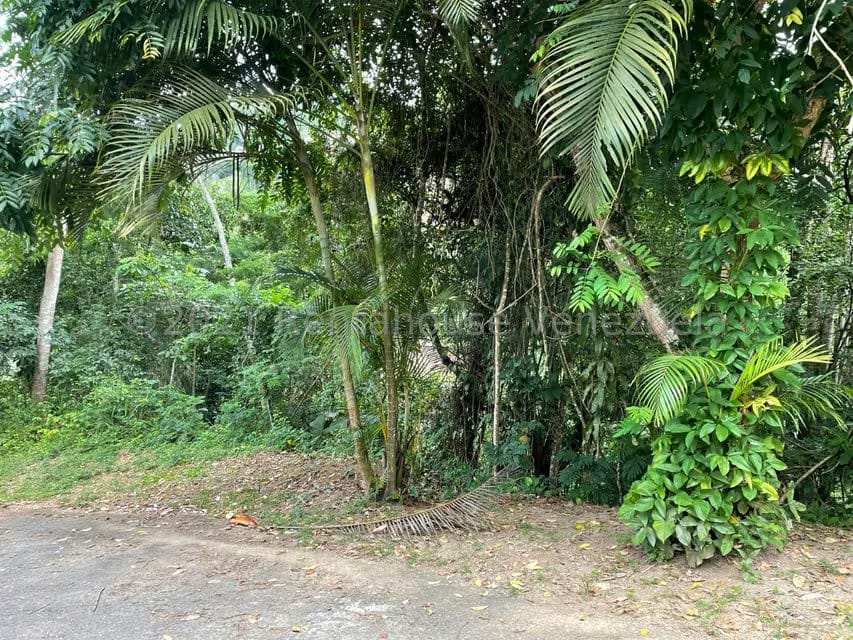 Terreno (Residencial) en Venta en Tusmare, Distrito Metropolitano - 3