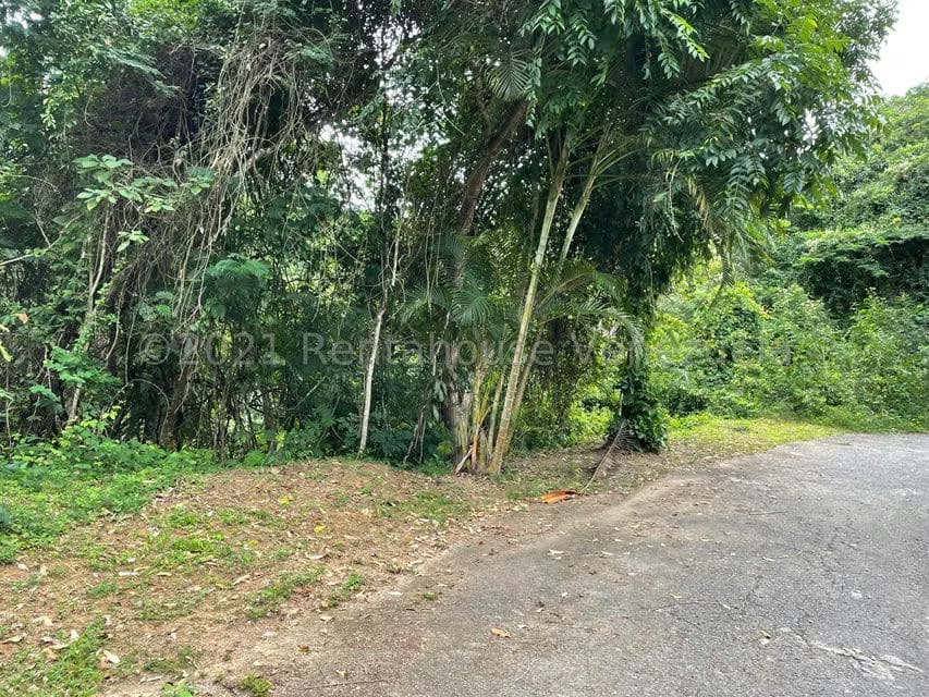 Terreno (Residencial) en Venta en Tusmare, Distrito Metropolitano - 6